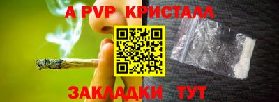 дживик Кингисепп