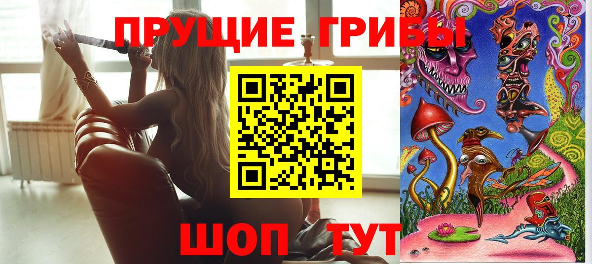 Псилоцибиновые грибы прущие грибы  Вход с VPN  что такое наркотик  Галлюциногенные грибы Psilocybe  Егорьевск 